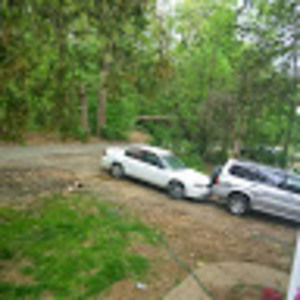 Meet your Posher, Priscilla